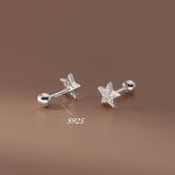 Shining Stars Screw back Studs Earrings - ESB025